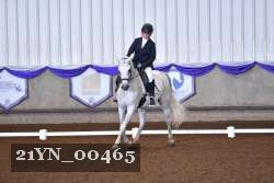 21YN_00465 thumbnail