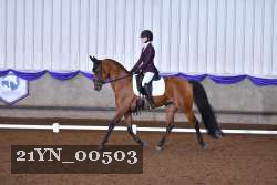 21YN_00503 thumbnail