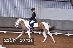 21YN_18711 thumbnail