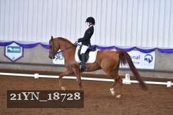 21YN_18728 thumbnail