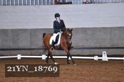 21YN_18769 thumbnail