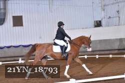21YN_18793 thumbnail