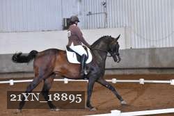 21YN_18895 thumbnail