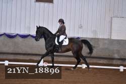 21YN_18896 thumbnail