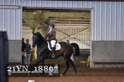 21YN_18897 thumbnail