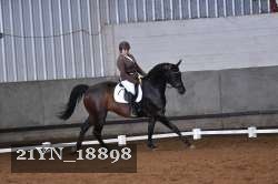 21YN_18898 thumbnail