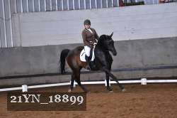 21YN_18899 thumbnail