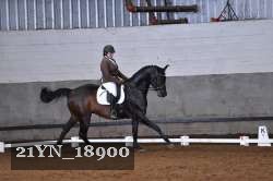 21YN_18900 thumbnail