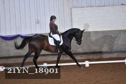 21YN_18901 thumbnail