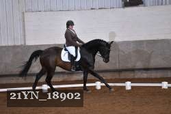 21YN_18902 thumbnail