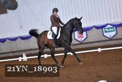 21YN_18903 thumbnail