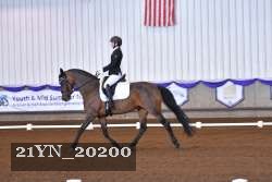 21YN_20200 thumbnail