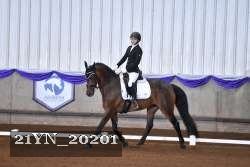 21YN_20201 thumbnail