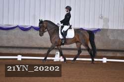 21YN_20202 thumbnail