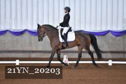 21YN_20203 thumbnail