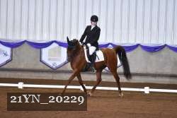 21YN_20229 thumbnail