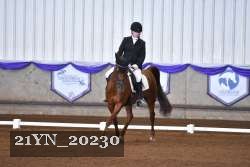 21YN_20230 thumbnail