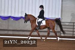 21YN_20232 thumbnail