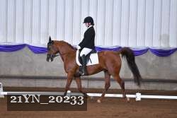 21YN_20233 thumbnail