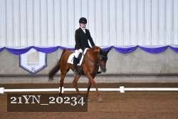 21YN_20234 thumbnail