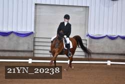 21YN_20238 thumbnail
