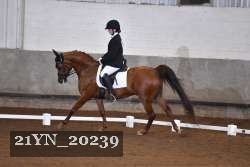 21YN_20239 thumbnail