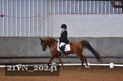 21YN_20241 thumbnail