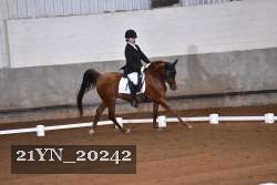 21YN_20242 thumbnail