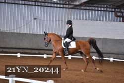 21YN_20244 thumbnail