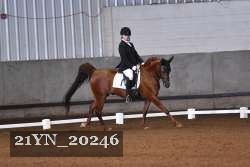 21YN_20246 thumbnail