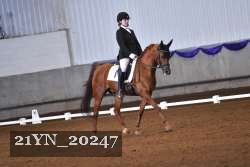 21YN_20247 thumbnail