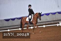 21YN_20248 thumbnail