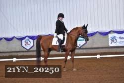 21YN_20250 thumbnail