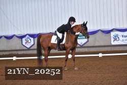 21YN_20252 thumbnail