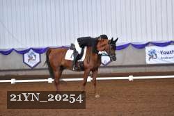 21YN_20254 thumbnail