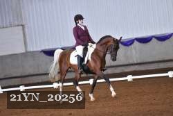 21YN_20256 thumbnail