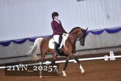 21YN_20257 thumbnail