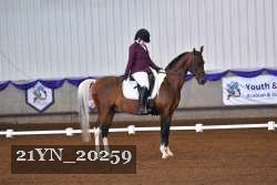 21YN_20259 thumbnail