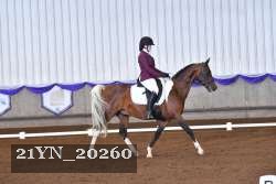 21YN_20260 thumbnail