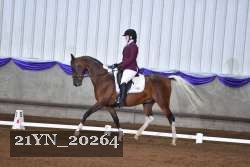 21YN_20264 thumbnail