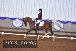 21YN_20265 thumbnail