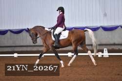 21YN_20267 thumbnail