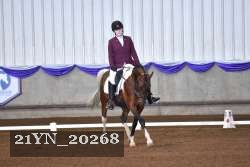 21YN_20268 thumbnail