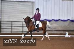 21YN_20270 thumbnail