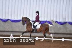 21YN_20272 thumbnail
