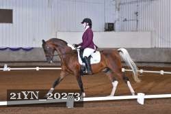 21YN_20273 thumbnail
