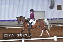 21YN_20274 thumbnail