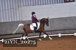 21YN_20275 thumbnail