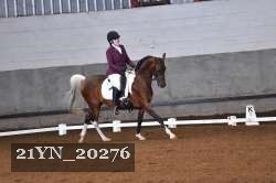 21YN_20276 thumbnail
