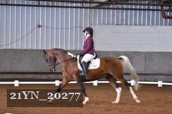 21YN_20277 thumbnail